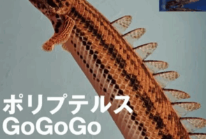 『AQUA LIFE 10月号』に紹介されました
